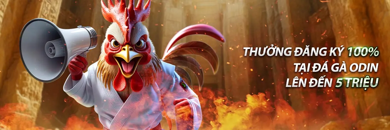 Khuyến Mãi Hoàn Trả Hàng Ngày/Tuần 555win